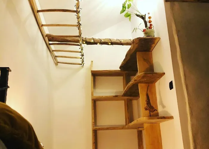 L'auberge Des Pyrenees Bed & Breakfast La Barthe-de-Neste